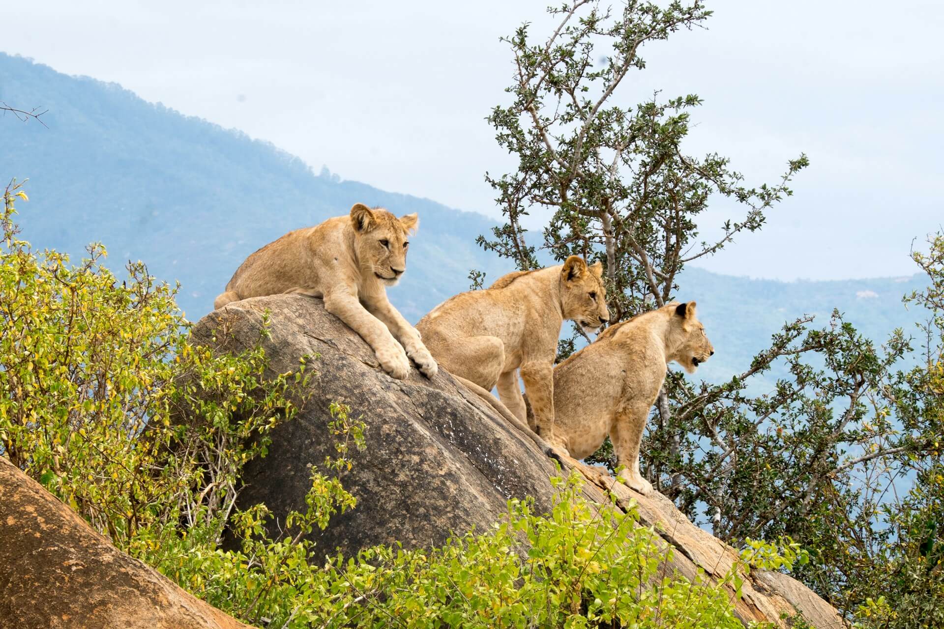 Itinerary Image