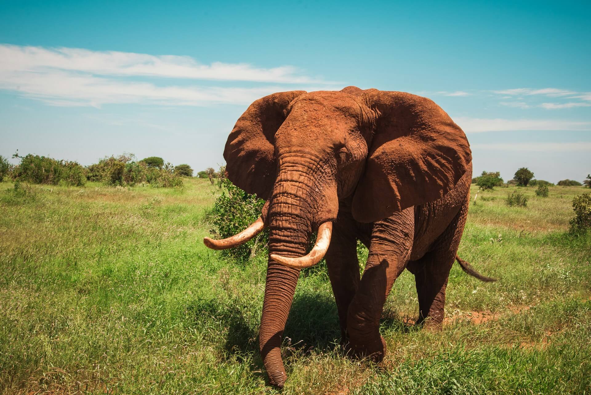 Discovering The Hidden Wilderness Of Samburu National Reserve